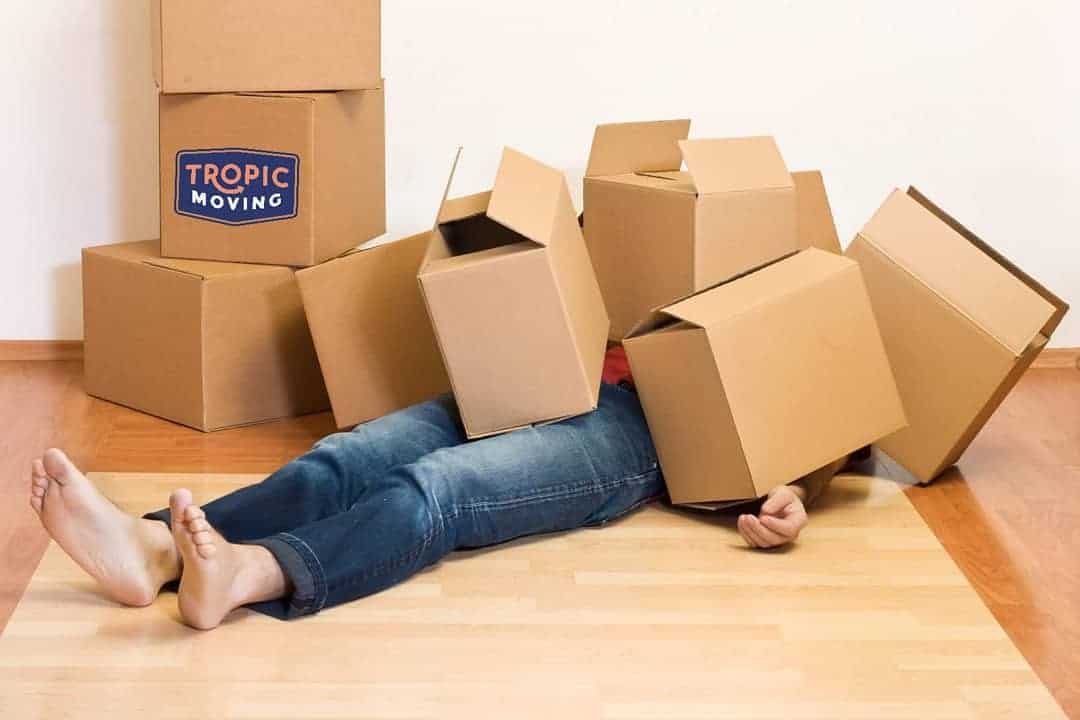 Woman Buried in Moving Boxes